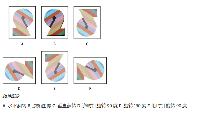 「Adobe國際認證」Adobe Photoshop調整裁剪、旋轉和畫布大小