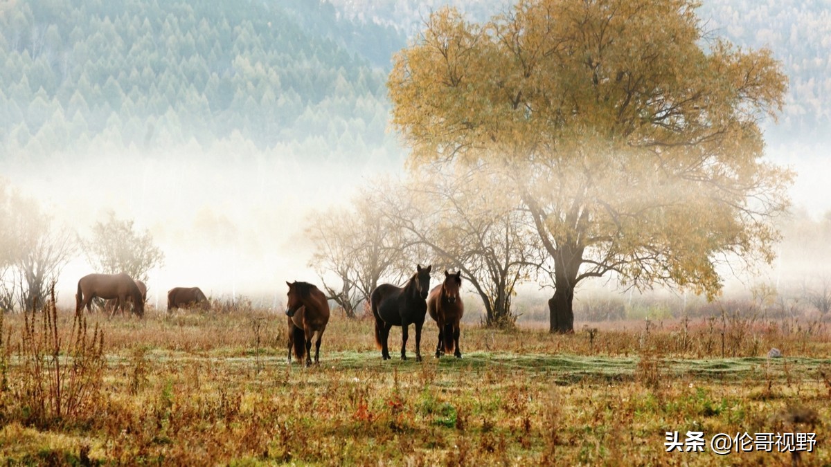 This uniquely independent village on the Sino-Russian border hides a lonely beautiful autumn, waiting for you