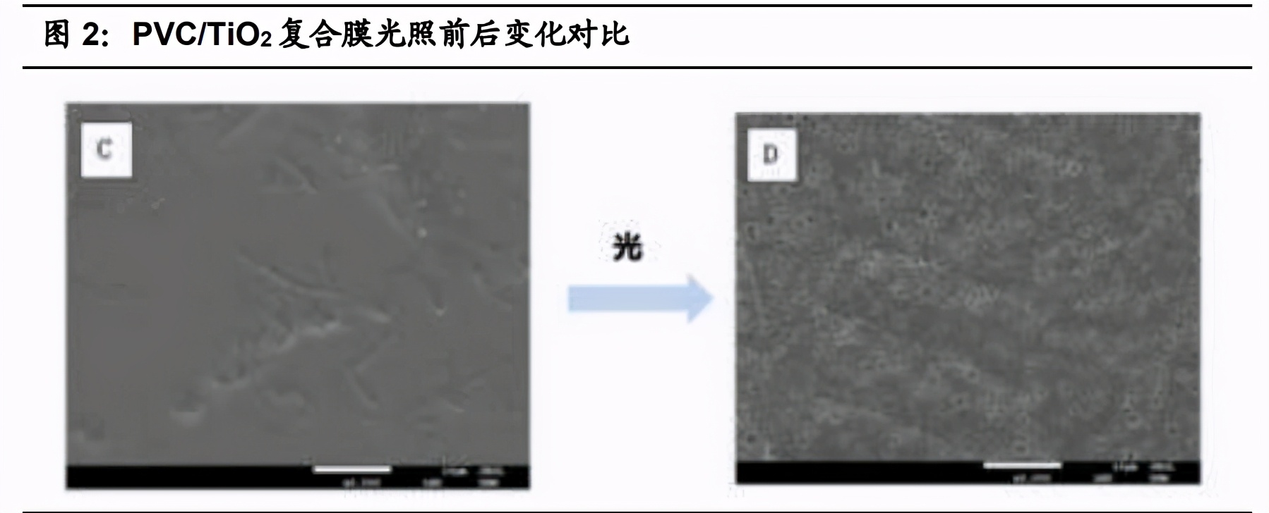 可降解塑料行业深度报告：三大催化因素，政府行动是重点