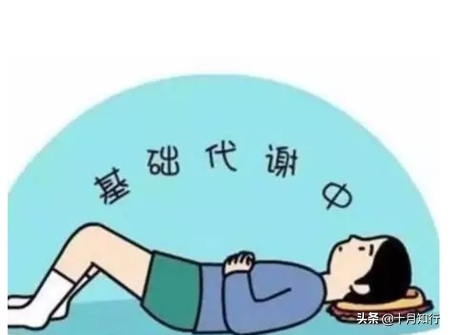 減肥，不是少吃多動就能瘦，做不到這些，再累再餓也不會瘦