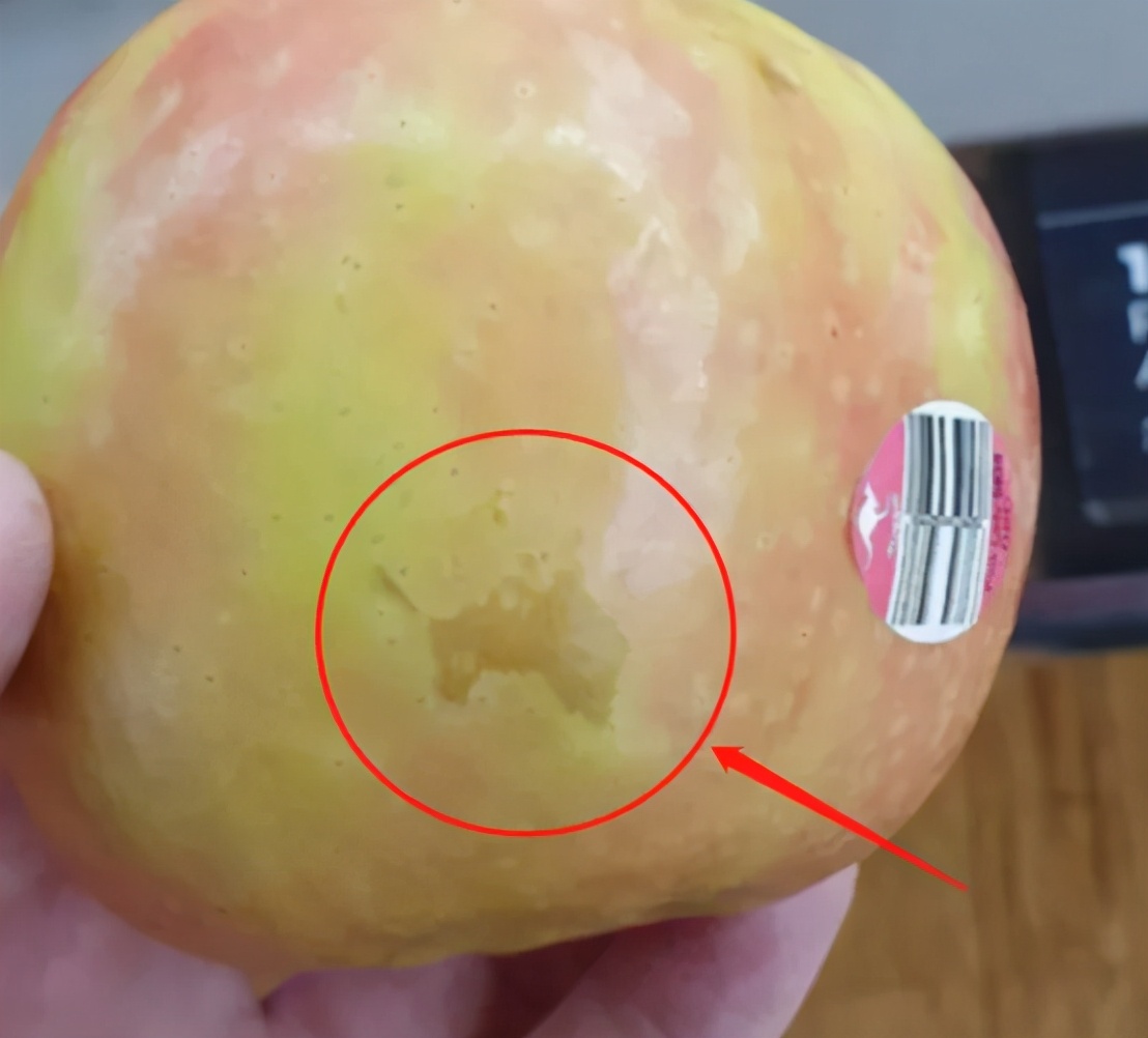 澳洲超市苹果上惊现“澳洲标记”，网友感叹：果农真是用心良苦