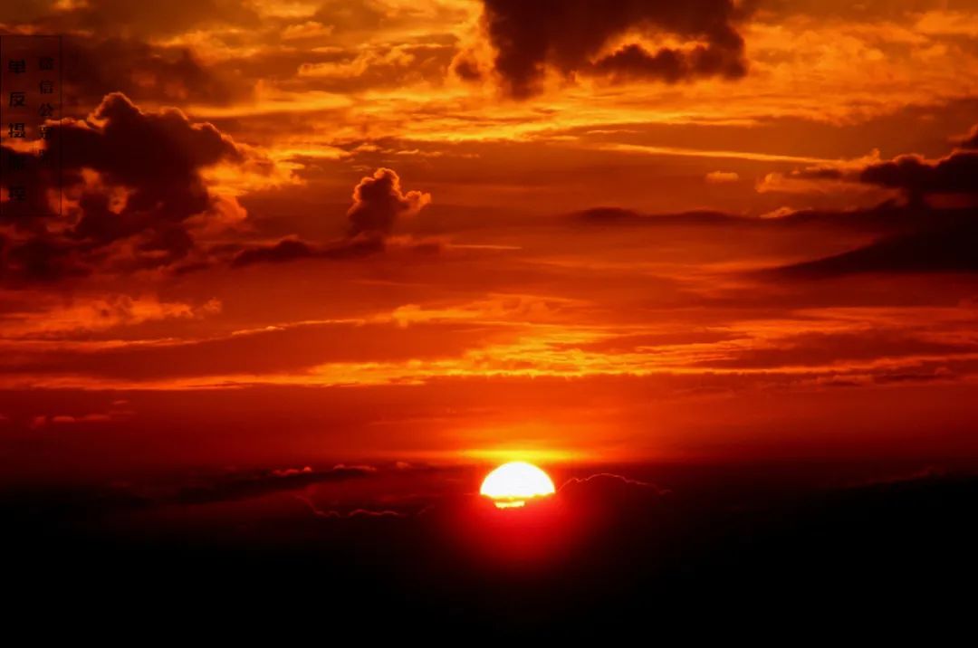 How does sunrise sunset film ability gives prize? 3 measure, give a beauty to explode! 