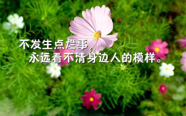 10句说到心坎里的人生哲理短句，发朋友圈秒赞