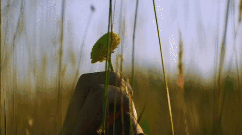 在轮椅上度过了38年的史铁生，为什么被称作“时代的巨人”？-第22张图片-大千世界