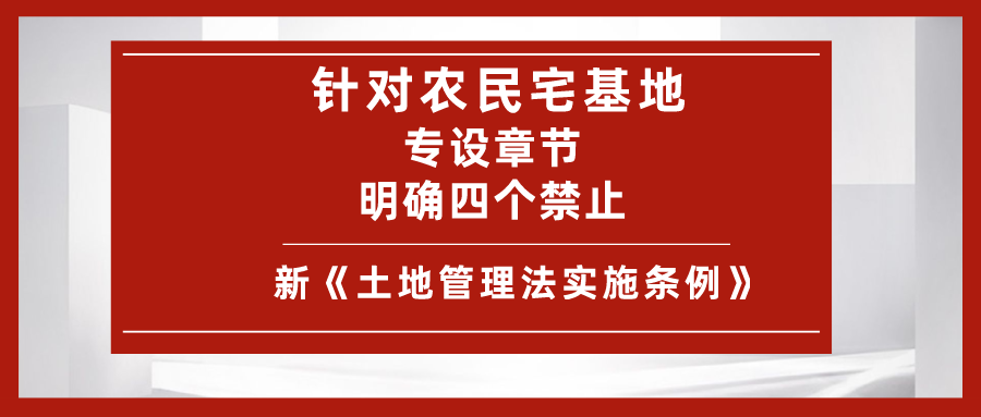 加强保护宅基地｜新条例：明确四个禁止、专设宅基地管理章节