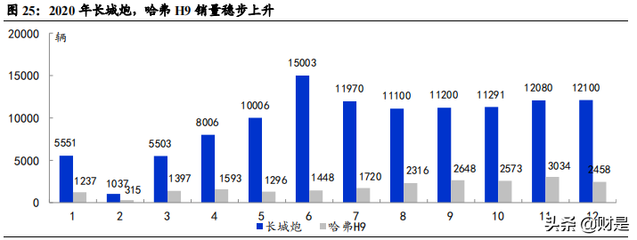 双环传动专题研究报告：汽齿隐形冠军，全“新”启航