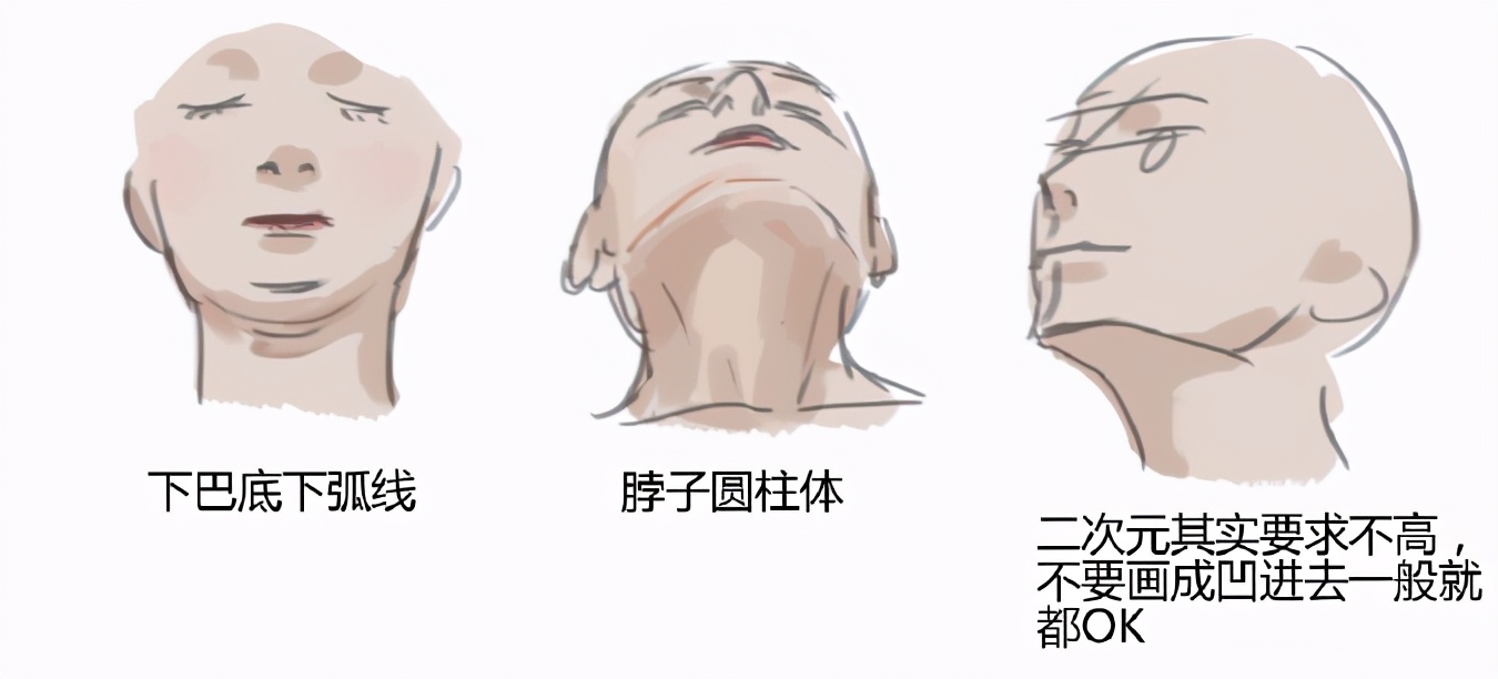 仰视角度的下巴和脖子怎么画？教你绘制人物下巴和脖子的关系体现