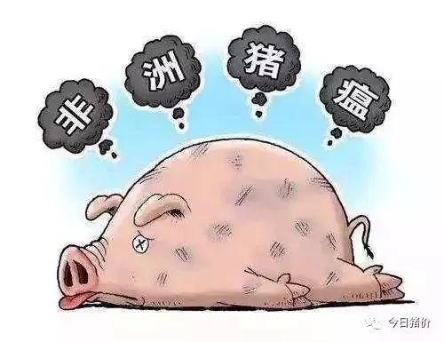 一年之内，这些养猪户将被迫离开养猪业，希望