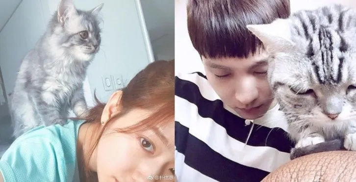 Brave Girls周边造大量退款?;朴信惠即将结婚?与男友好事将近?