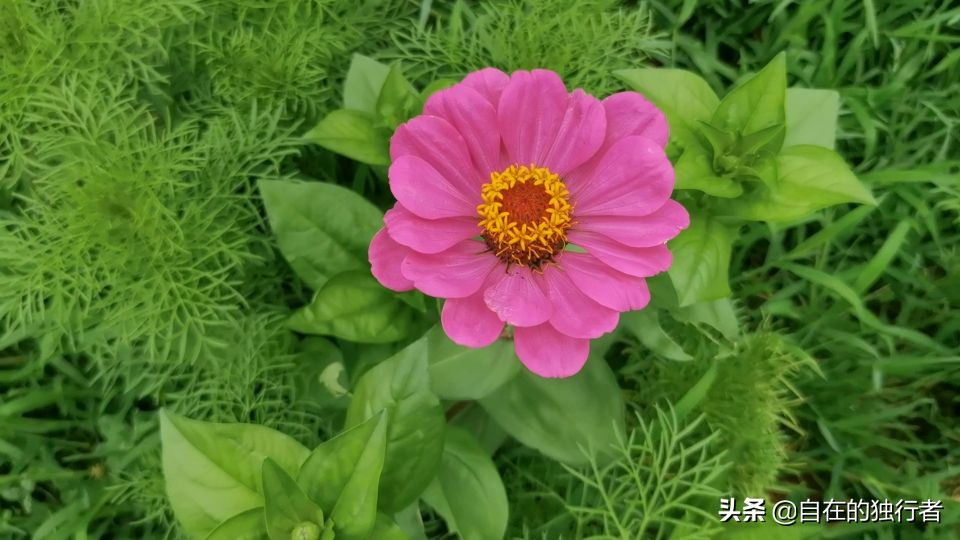 当全民自媒体时代来临，我们首先该做好什么？