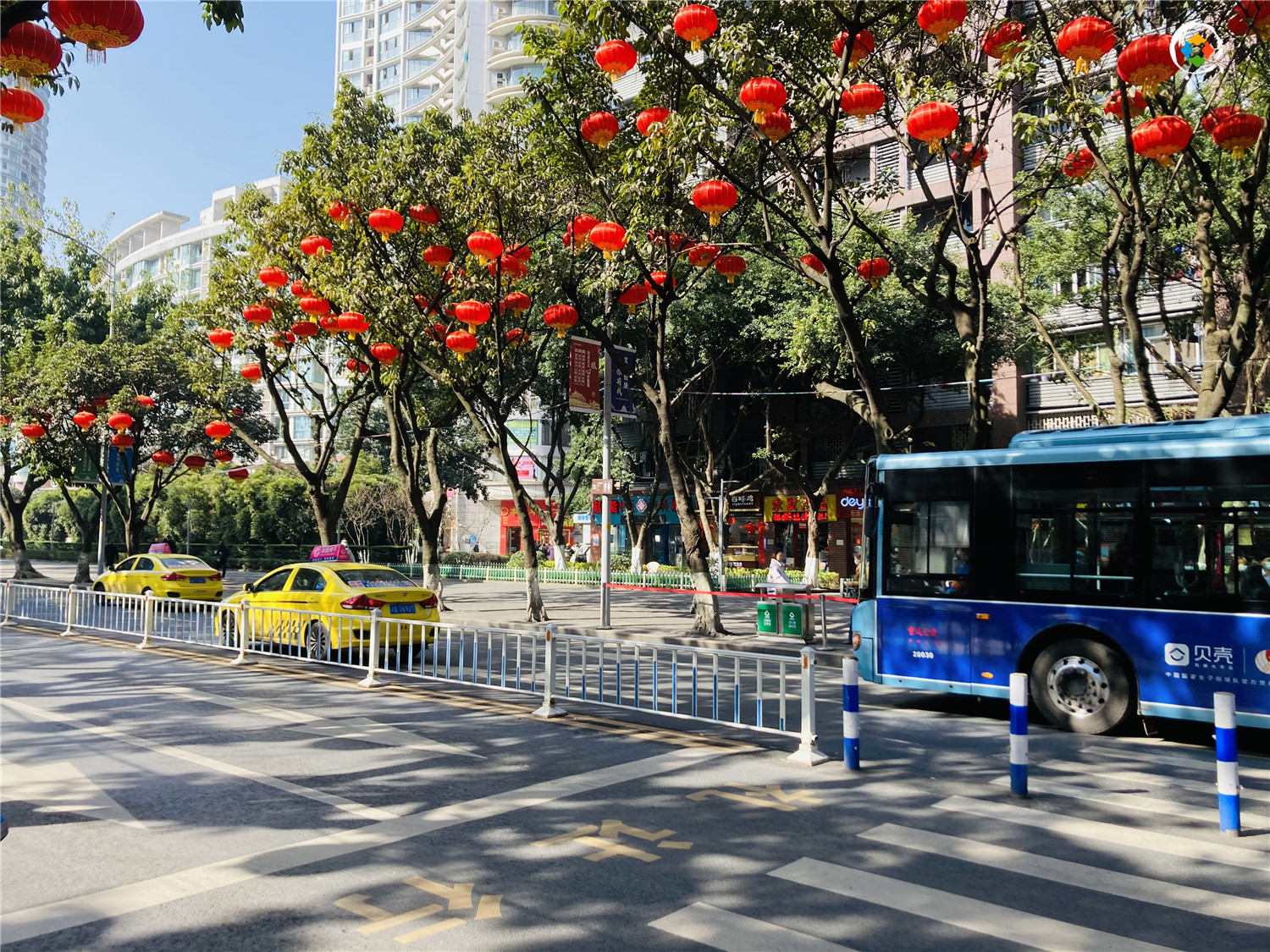 在重庆烤肉店里吃蚕蛹，老板不小心说漏嘴：我自己从来不吃