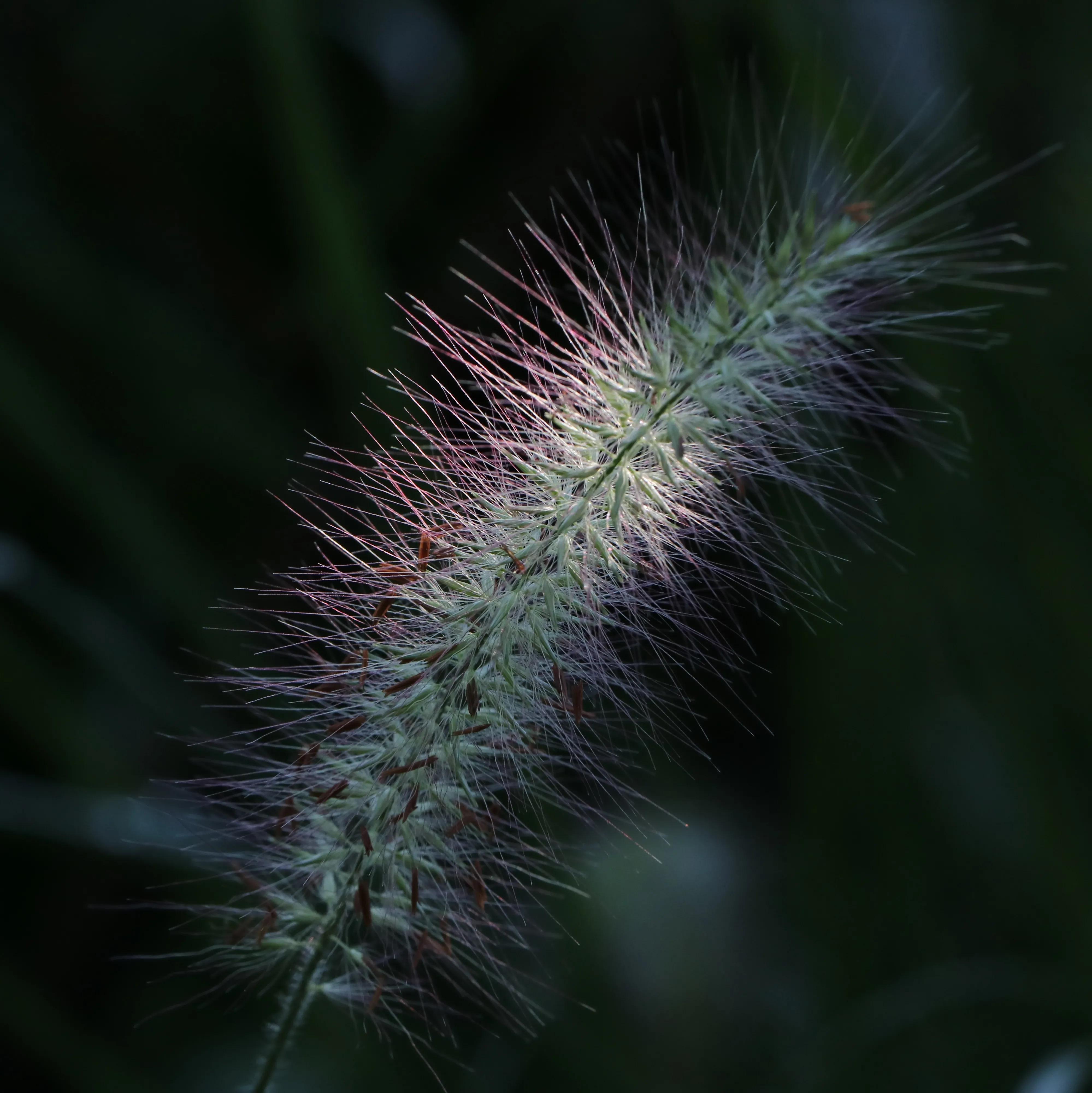 北京植物園一日游