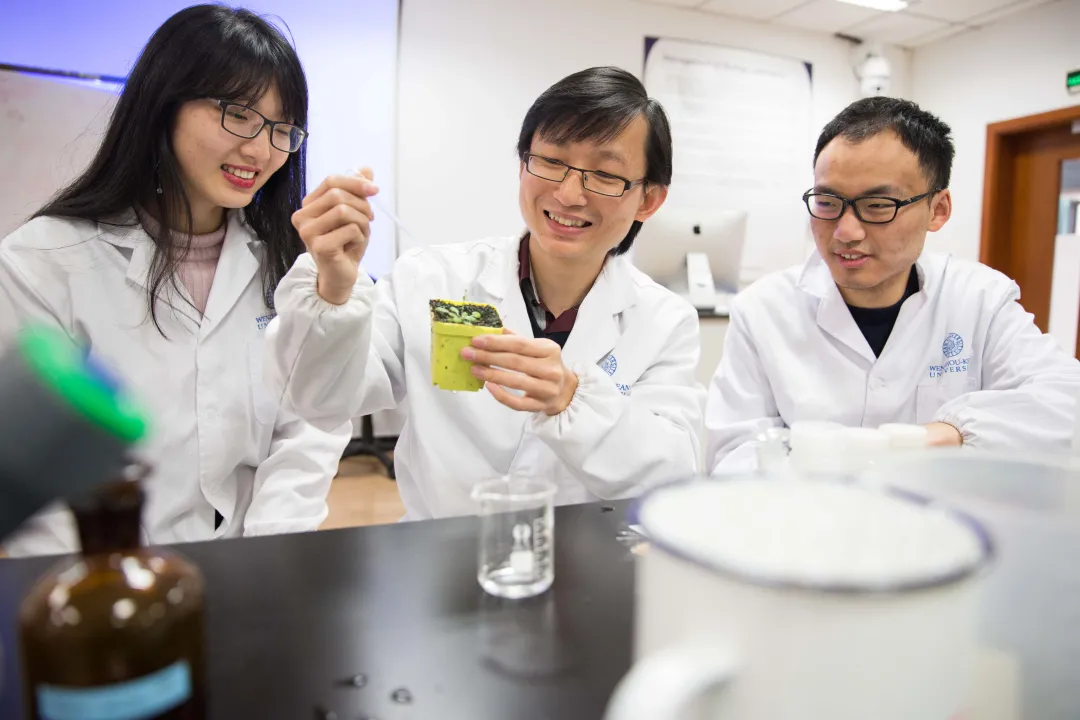 温州首个应用生物医药信息学重点实验室落地温肯