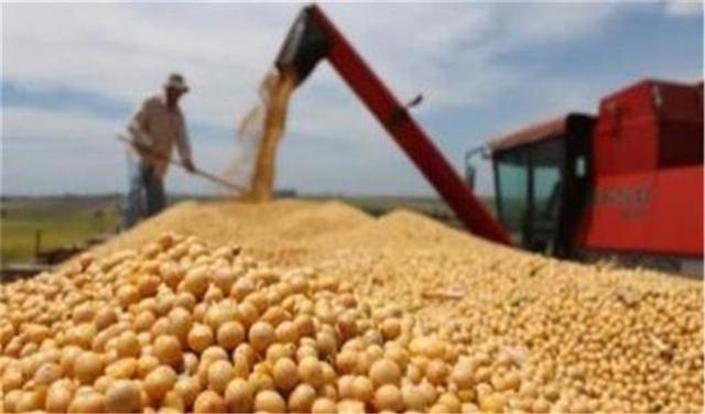 贪得无厌？全国80%大豆由中国购买，阿根廷第五