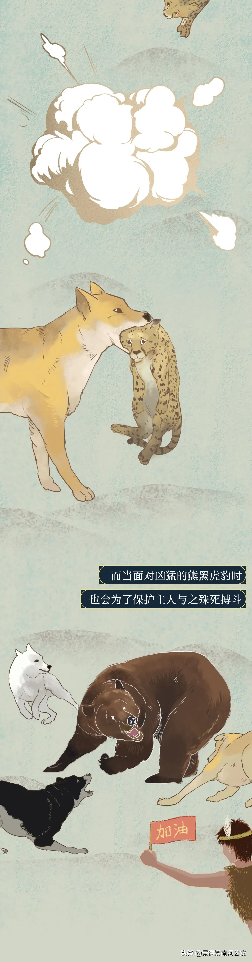 你凭什么看不起中国土狗？