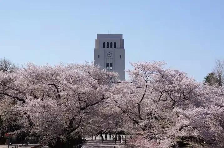 日本理工科大学之最——东京工业大学IGP-C项目申请攻略