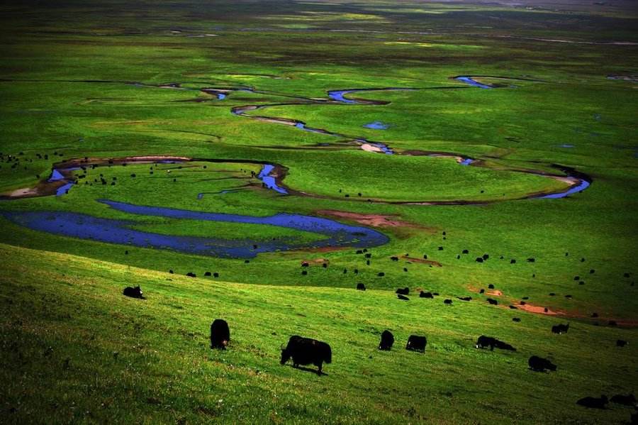 军队在西藏发现地底世界入口，惊险逃生后回头