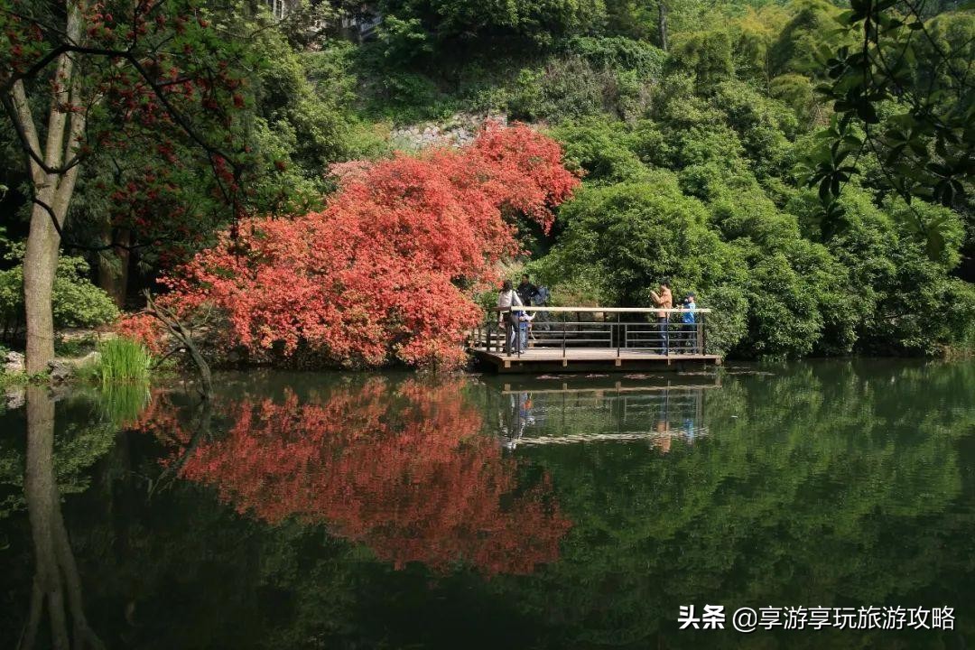 天气入夏酷热难当，全国最值得打卡的避暑地盘点。收藏这篇不迷路