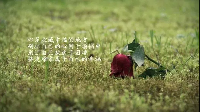 适合发朋友圈人生感悟的经典语录 精辟有哲理