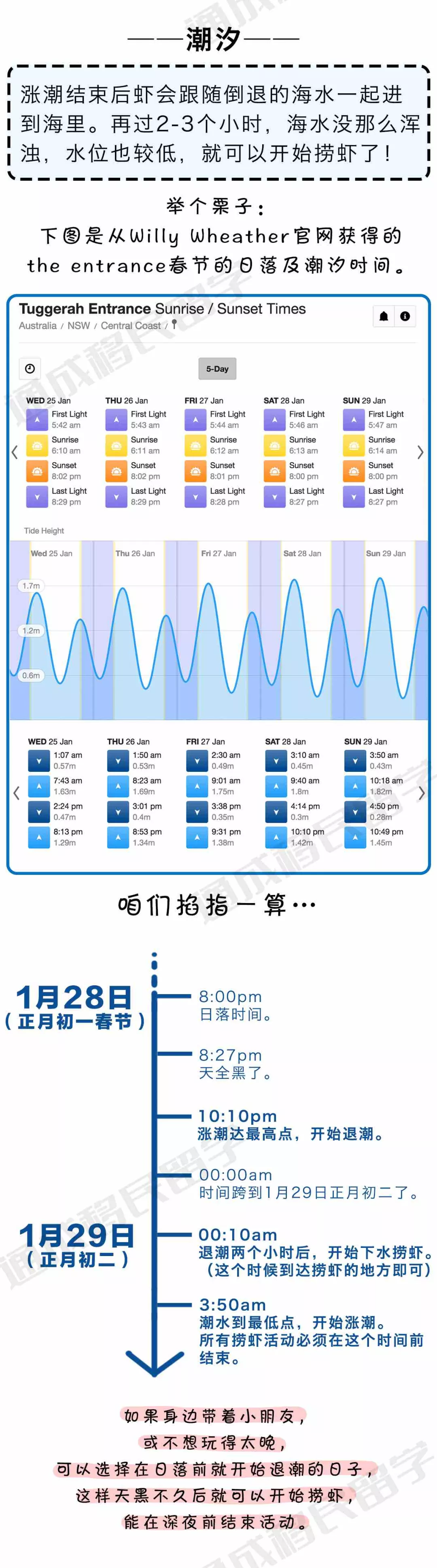 【通小成条漫】悉尼捞虾全攻略