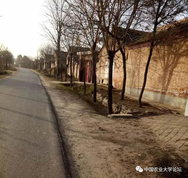 为什么山东像着魔一样花费巨额财力去合村并居