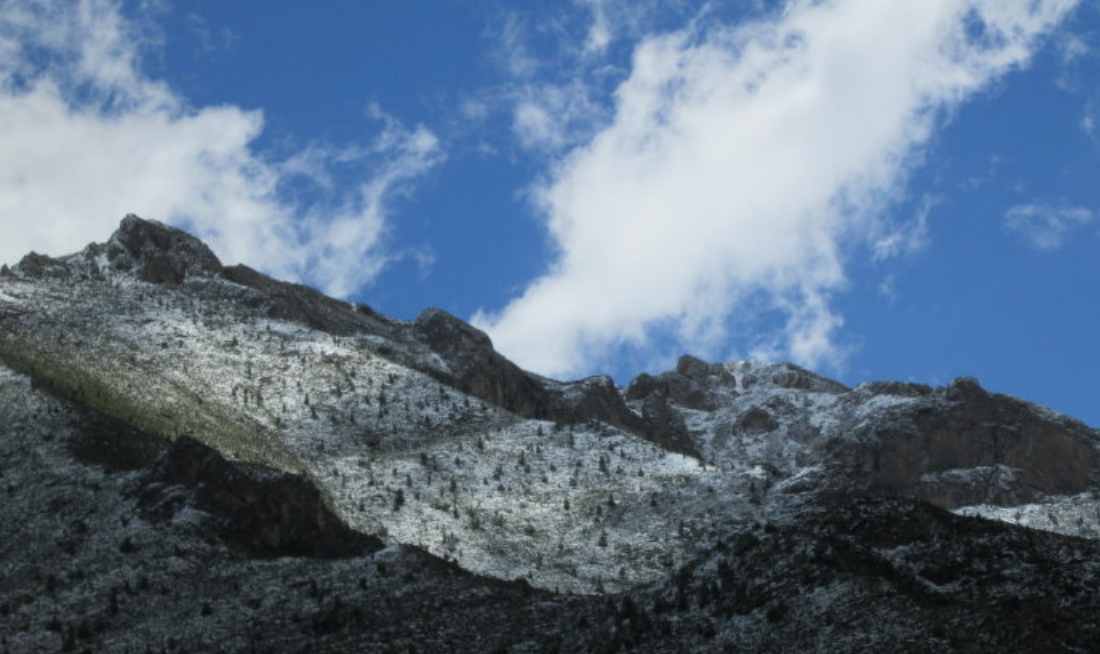 男子因夫妻吵架杀害岳父一家三口，作案后上山自尽，2009年青海灭门案回忆