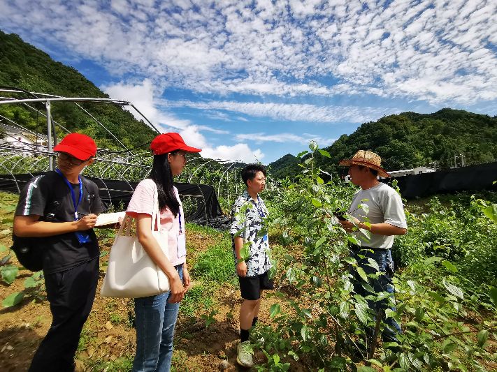 �����������ߣ�������˴�����