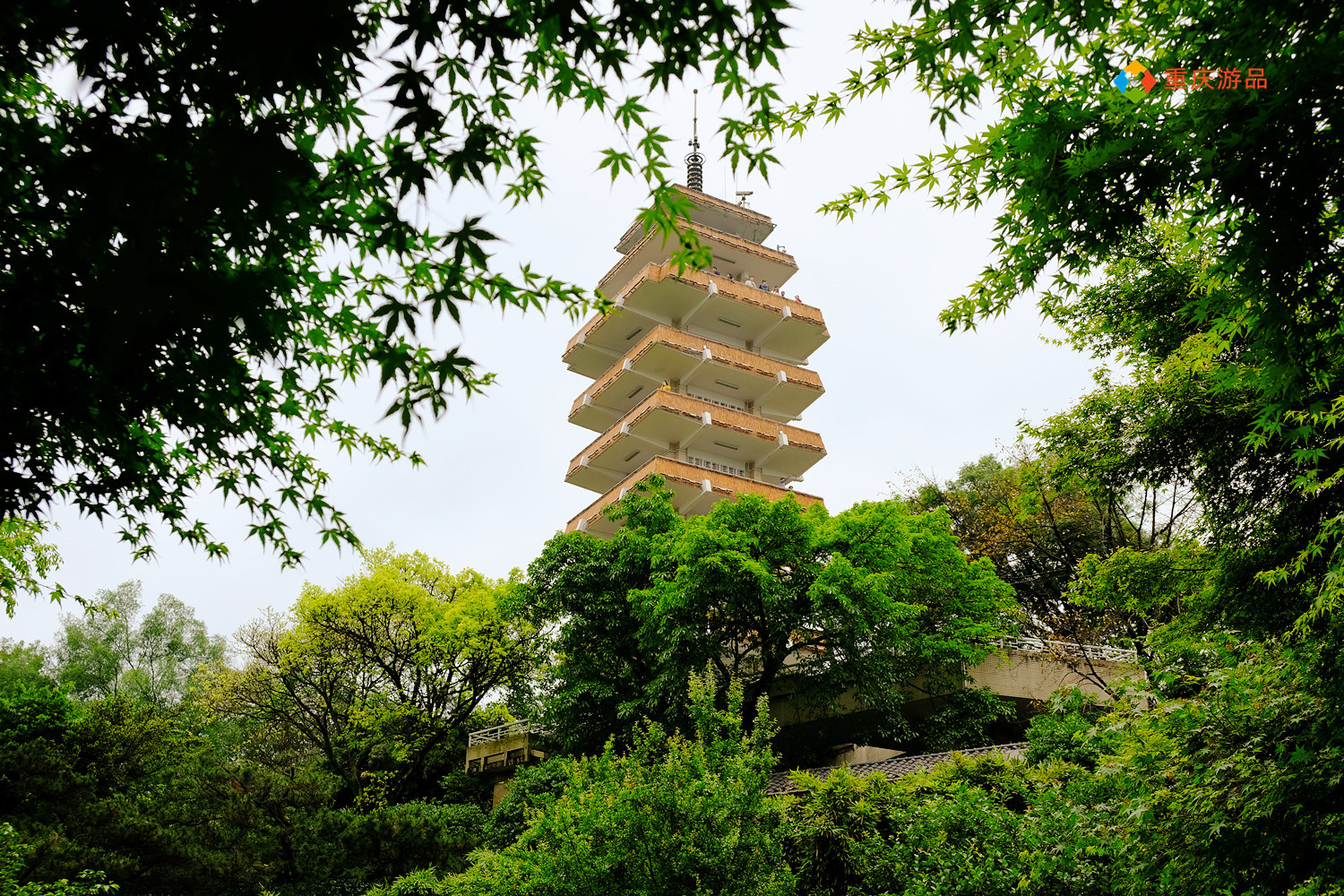 重庆冷知识：山城内部最高点在哪儿？是你经常去的一座公园