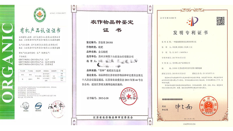 全省唯一！苏州金玉枇杷斩获特等奖，独揽最佳风味奖