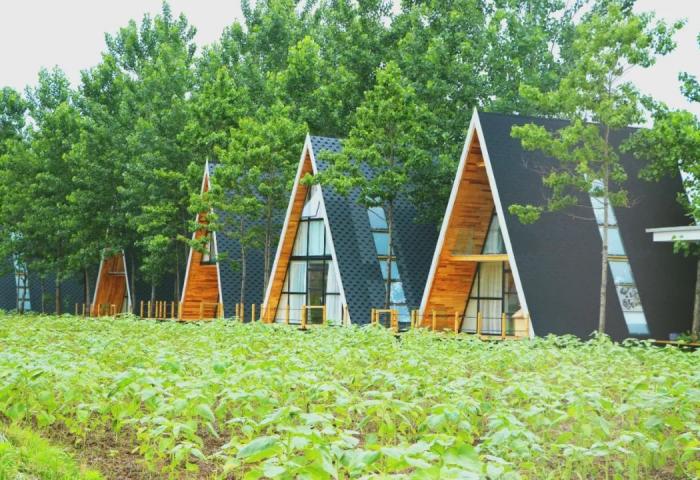 回乡务农却成为网红，稻田里的三角木屋民宿，房费上千仍一房难求