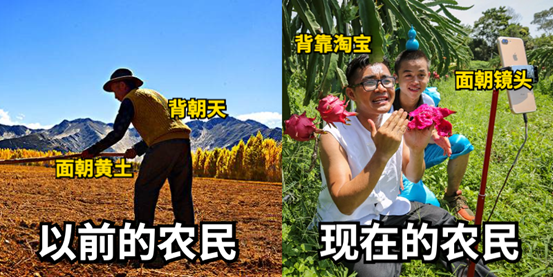 陕西农人新生活——面朝黄土背朝直播