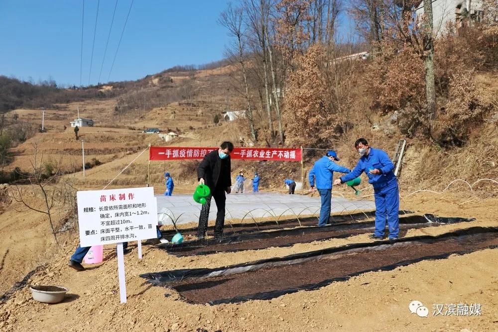 引领发展看汉滨系列之五：五大富硒农业产业位居全市前列