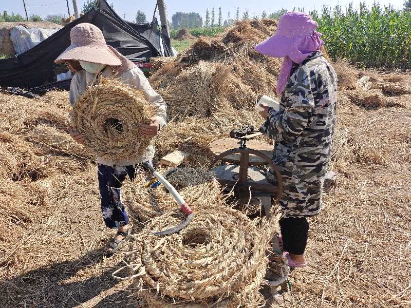 稻草|摄影师用镜头记录稻草帘、草绳制作全过程