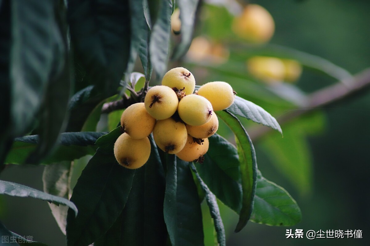 戴复古的诗清新自然，这首经典的七绝，犹如一幅淡淡的山水画卷-第6张图片-非凡网