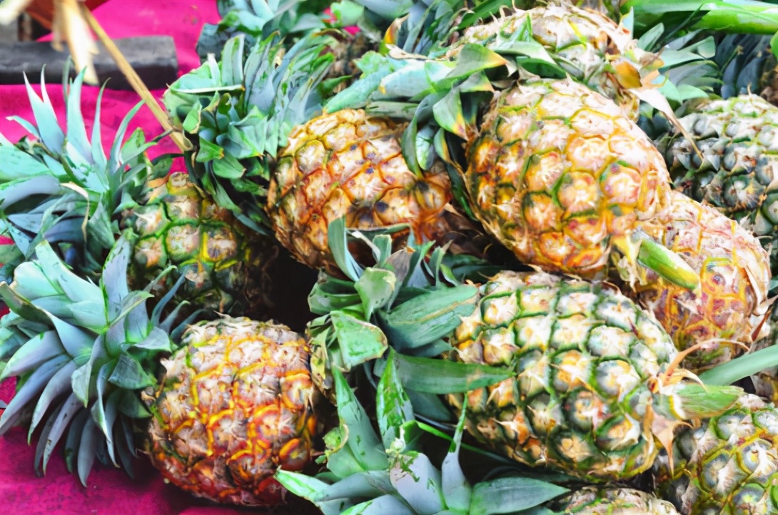 图片[2]-果农教你挑菠萝技巧  这样选个个鲜甜多汁-起舞食谱网
