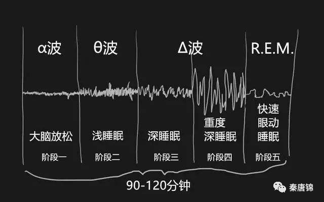 秦唐锦丝绸2020 琹唐锦黄金丝-帝锦 正式发布