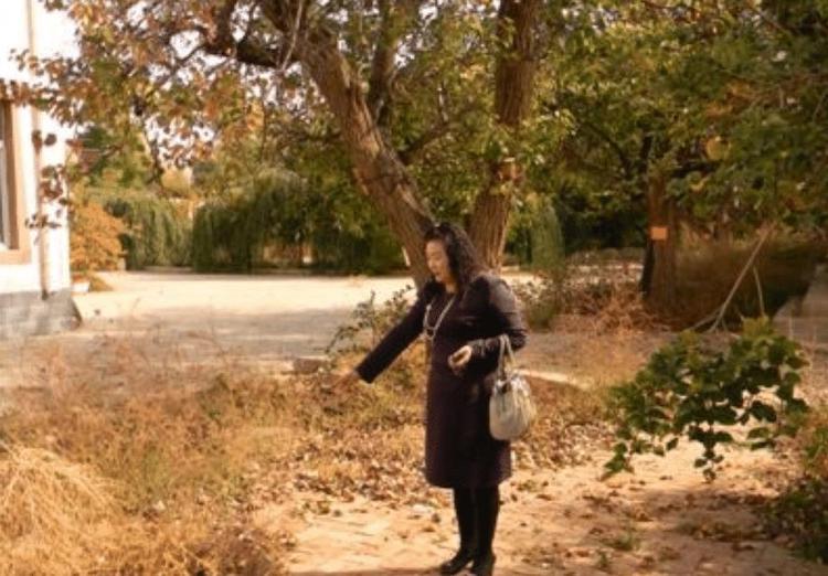 18岁女子挖自来水管道，意外发现70000枚银元，揭开30年前的秘密