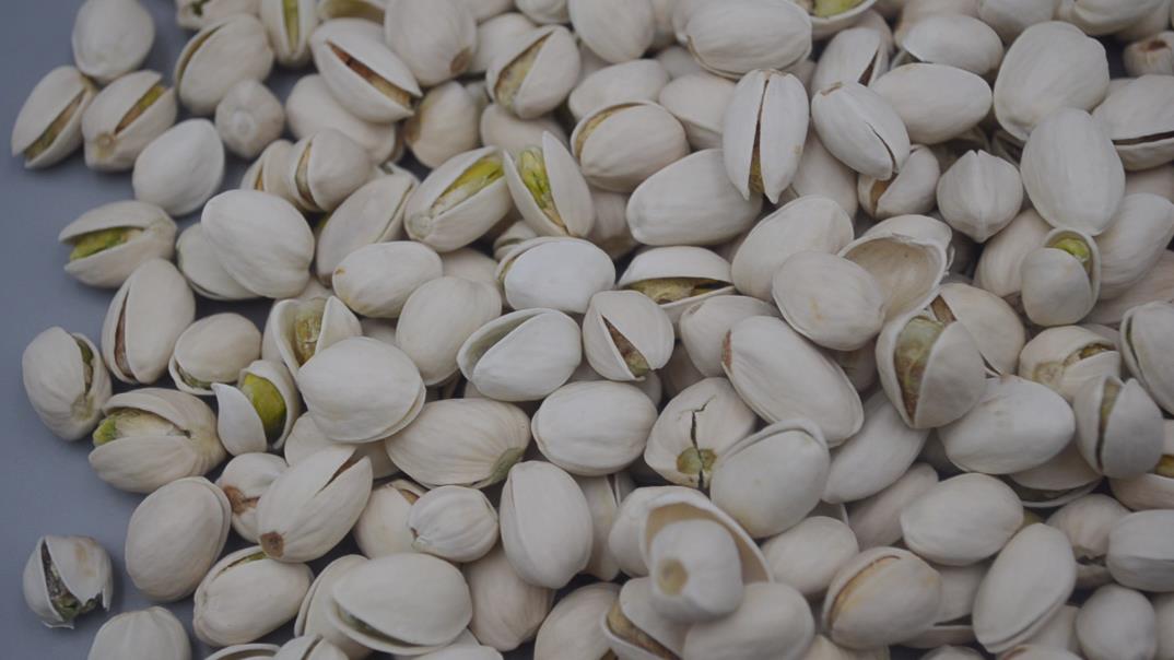 選購開心果時，“黃殼”和“白殼”哪種好？ 才知道區別這麼大