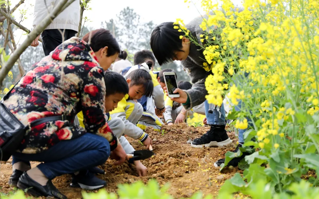 “我们”有一块地这就播种去丨天府新区元音小学劳动实践基地启动