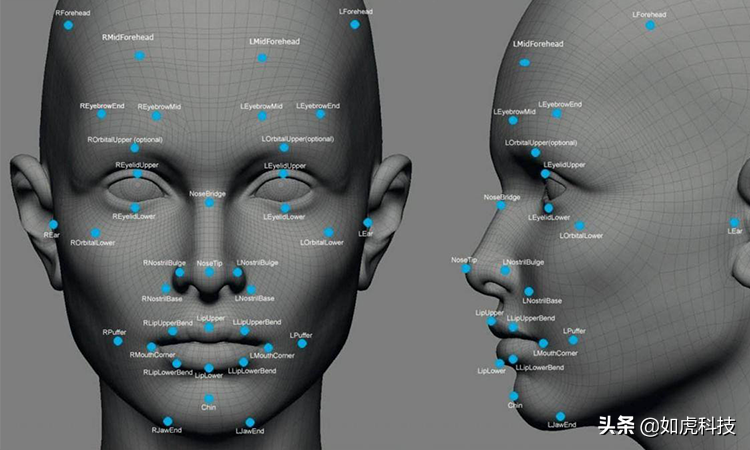 科技趣闻——对于双胞胎，人脸识别能做到有效识别区分吗？