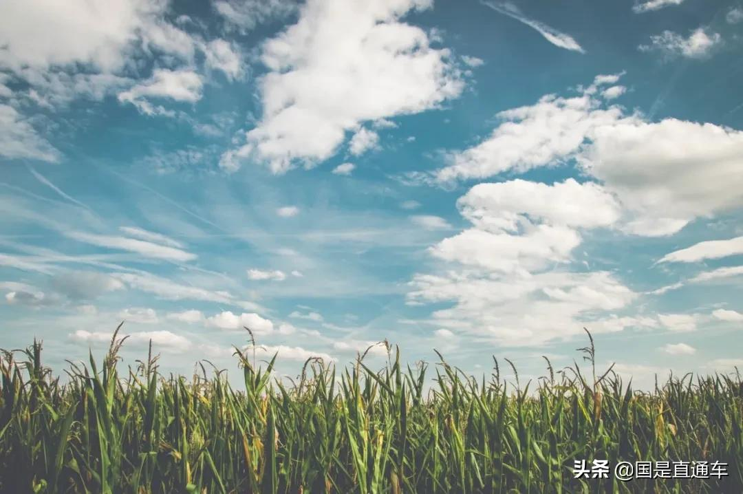 全球通货膨胀会影响中国吗?