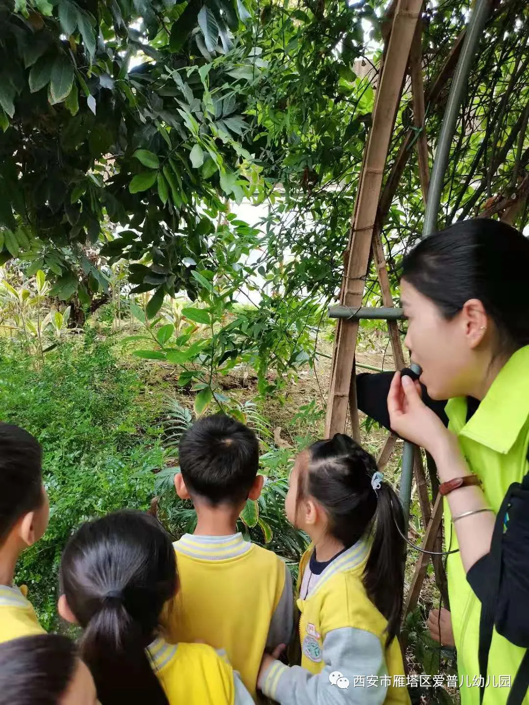 ����عˡ����ն��׶�԰�а�����ѧ��ʵ�߽���δ��