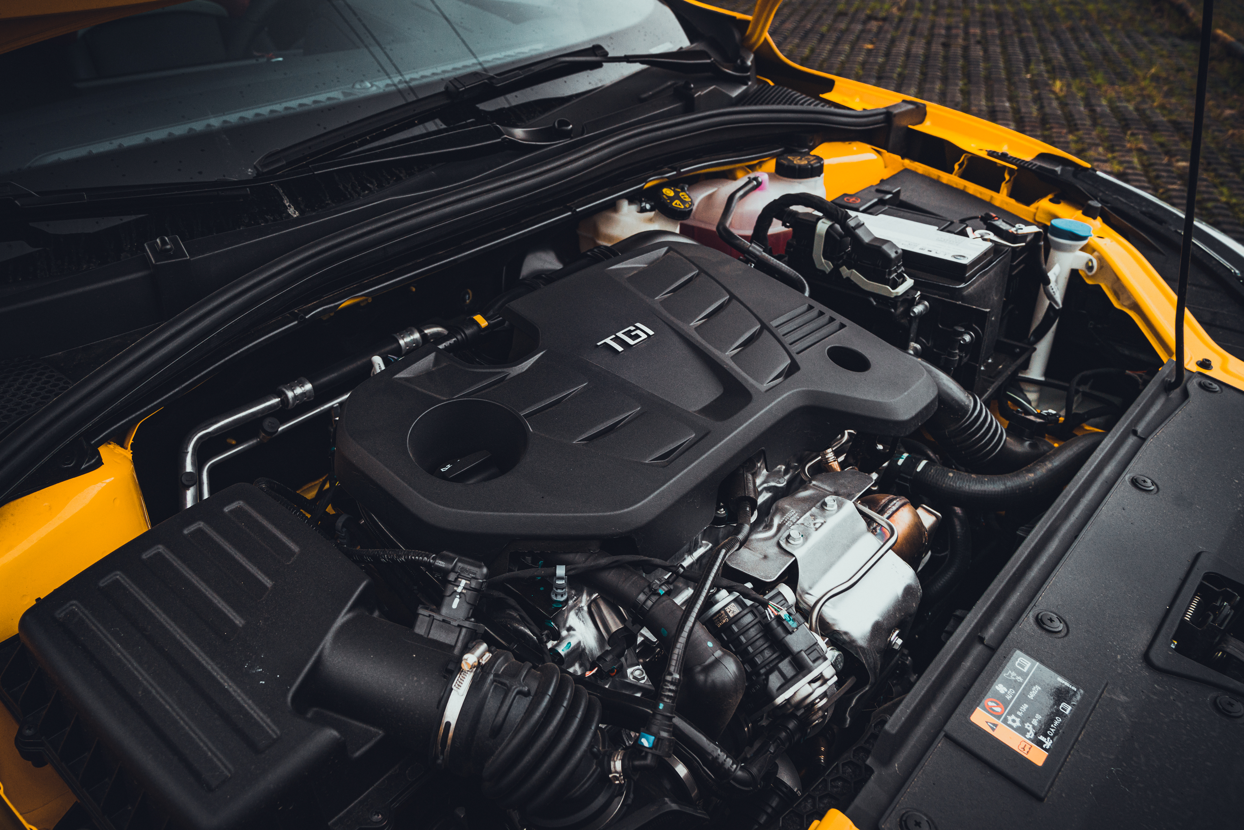 骚气的皮囊下，有趣的灵魂也要能“运动”