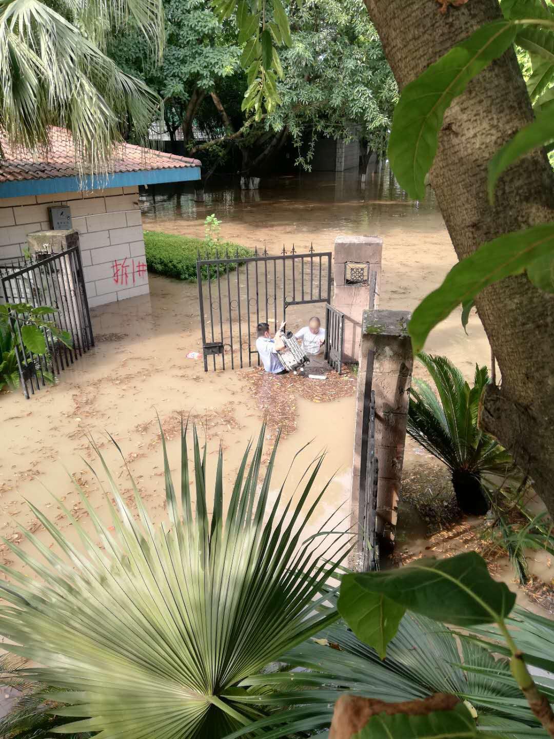 重庆|渝中警方温馨提示：请勿前往危险区域看洪水，注意安全