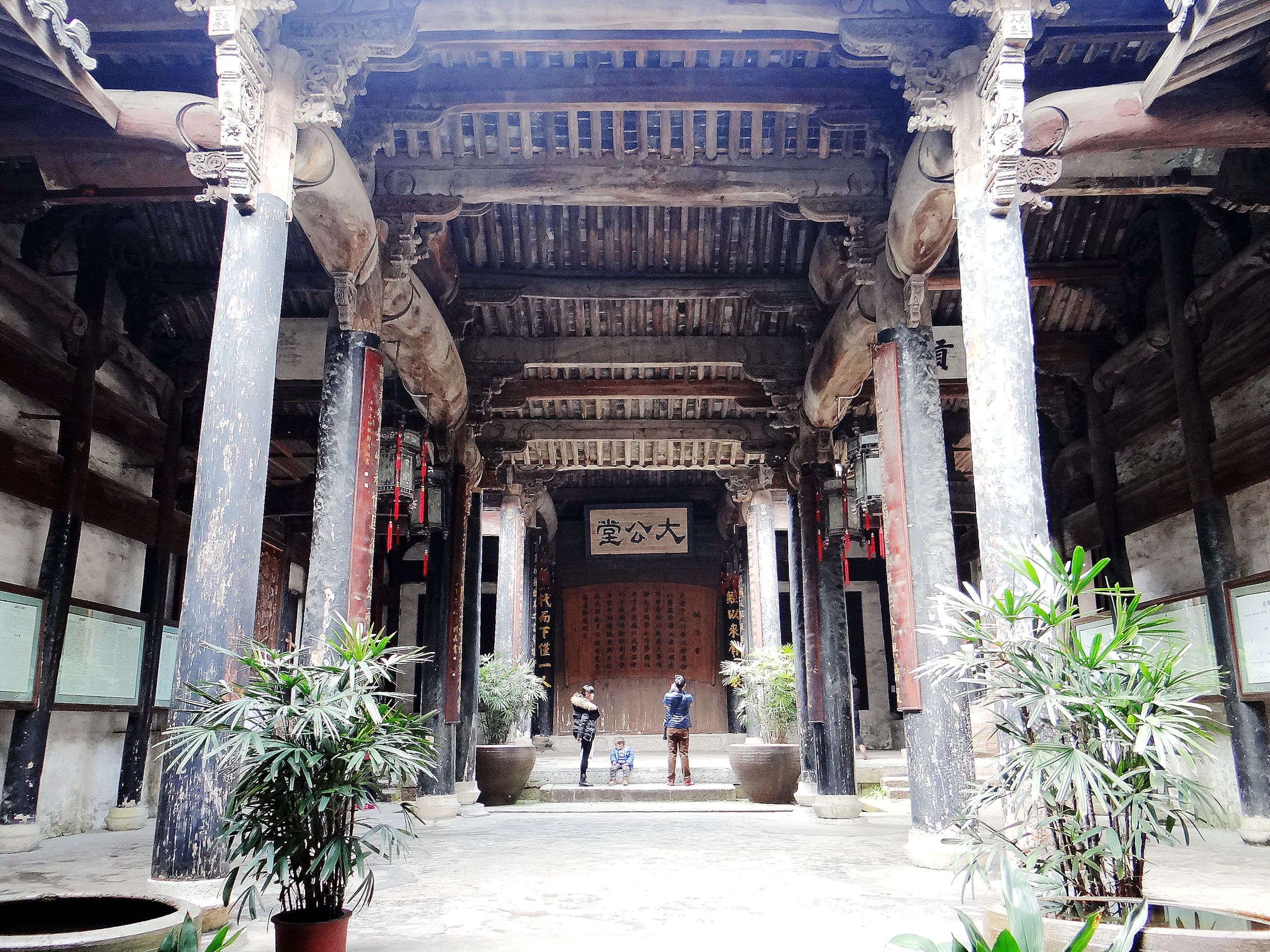 诸葛八卦村构建神奇，后世子孙多以医药为业，这是为了什么原因？