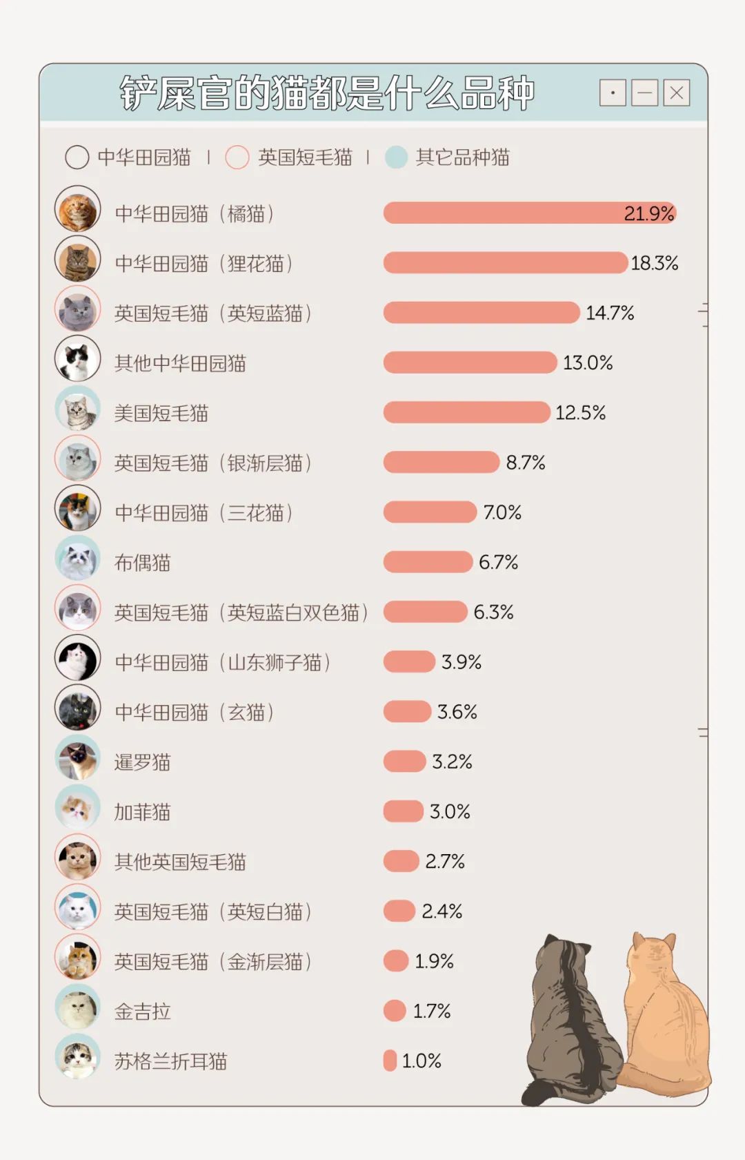 最受中国人欢迎的猫咪 英短和美短都输给了它 Adobergb Mdeditor