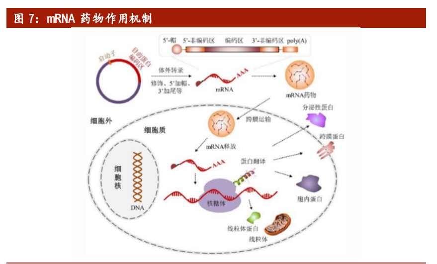 医药行业深度报告：拥抱生物医药第三次革命，基因治疗根基稳固