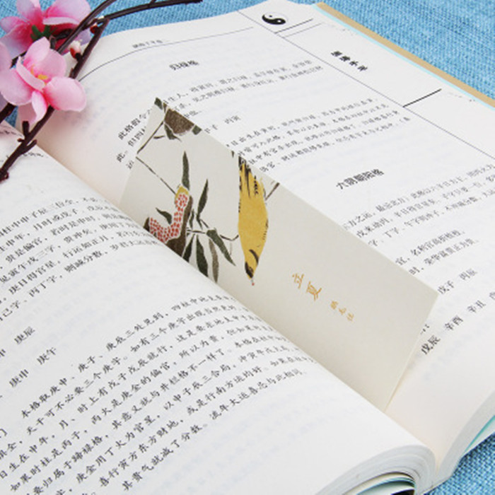 《学会写作》：提升输入效果，促进写作能力的提高