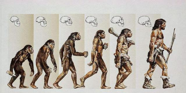 硬核原始人超有趣的人类进化简史看懂人类在进化中脱颖而出的真正原因