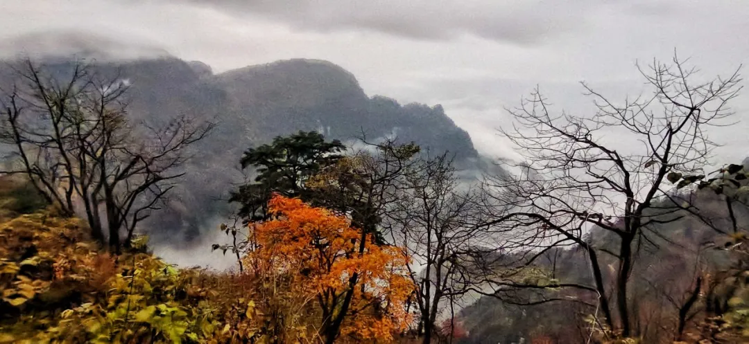 没想到,峨眉山以这样的方式告别秋天